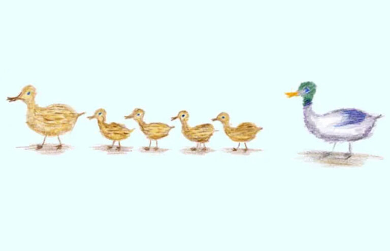 Familienberatung und Familientherapie in Limburg