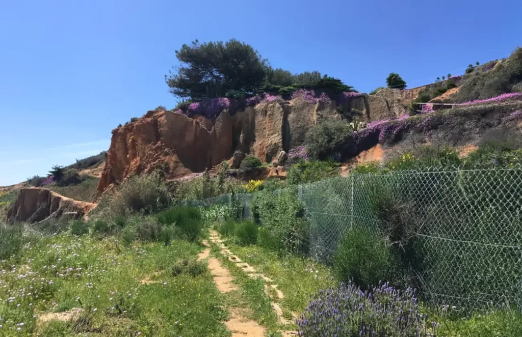 Psychotherapie Limburg