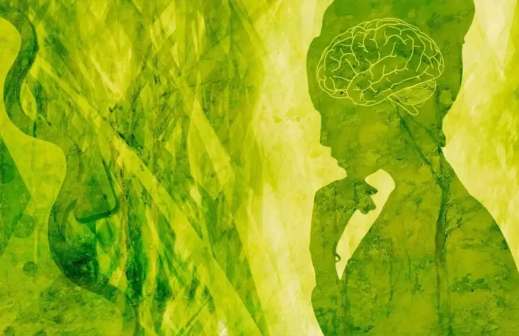 Psychotherapie Limburg